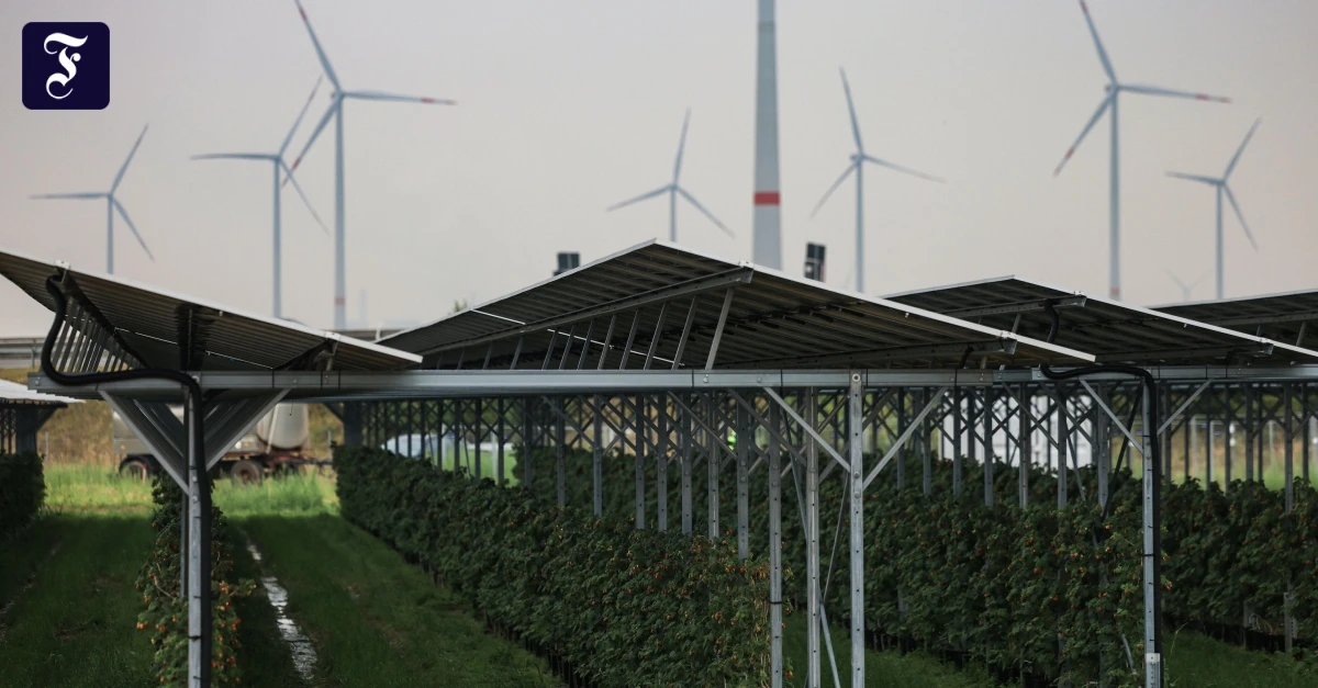 Kursgewinn-von-220-Prozent-Wie-der-KI-Boom-Versorger-RWE-befl-gelt