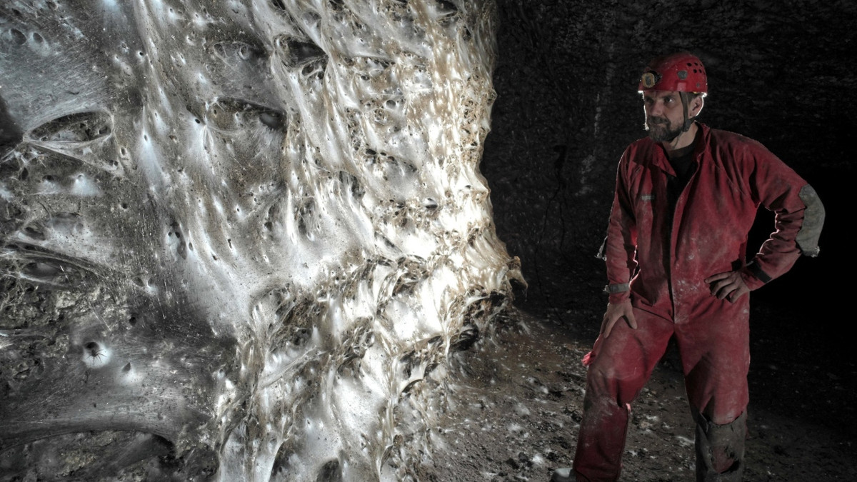 Hauswinkelspinnen: Gewaltiges Spinnennetz in Höhle entdeckt