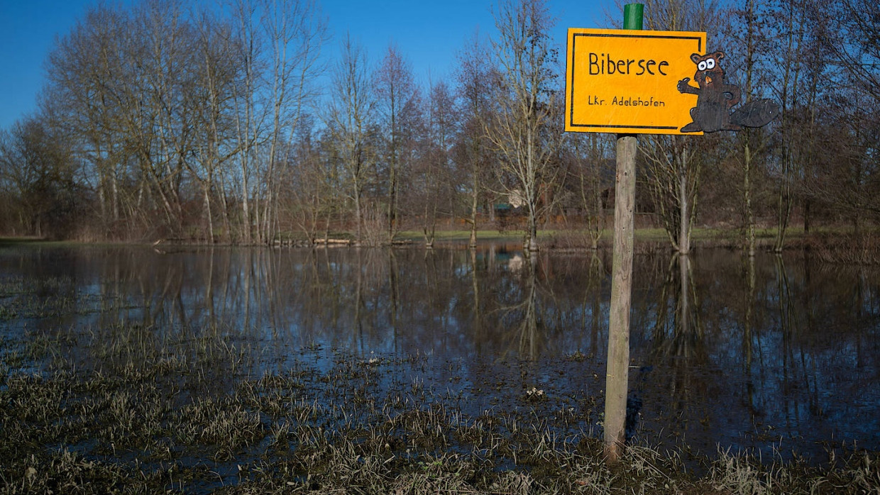 Sogar ein Schild verweist auf den „Bibersee“ in Eppingen, Baden-Württemberg.