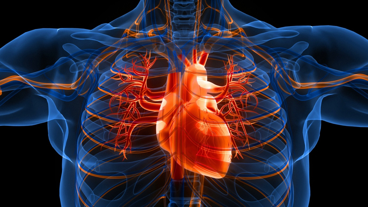Gesunder Lebensstil, Screenings und Gentests: Präventionsmaßnahmen schützen effektiv vor einem Herzinfarkt.