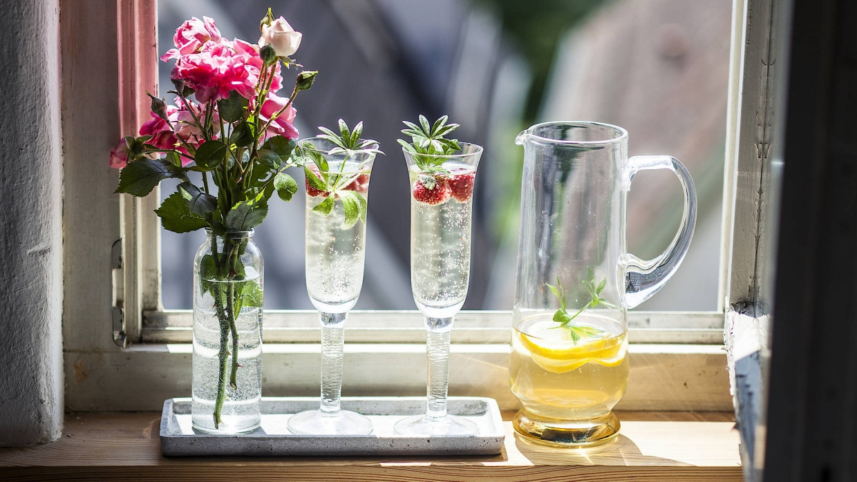 Maibowle mit Waldmeister: Aus dem Forst in die Gläser