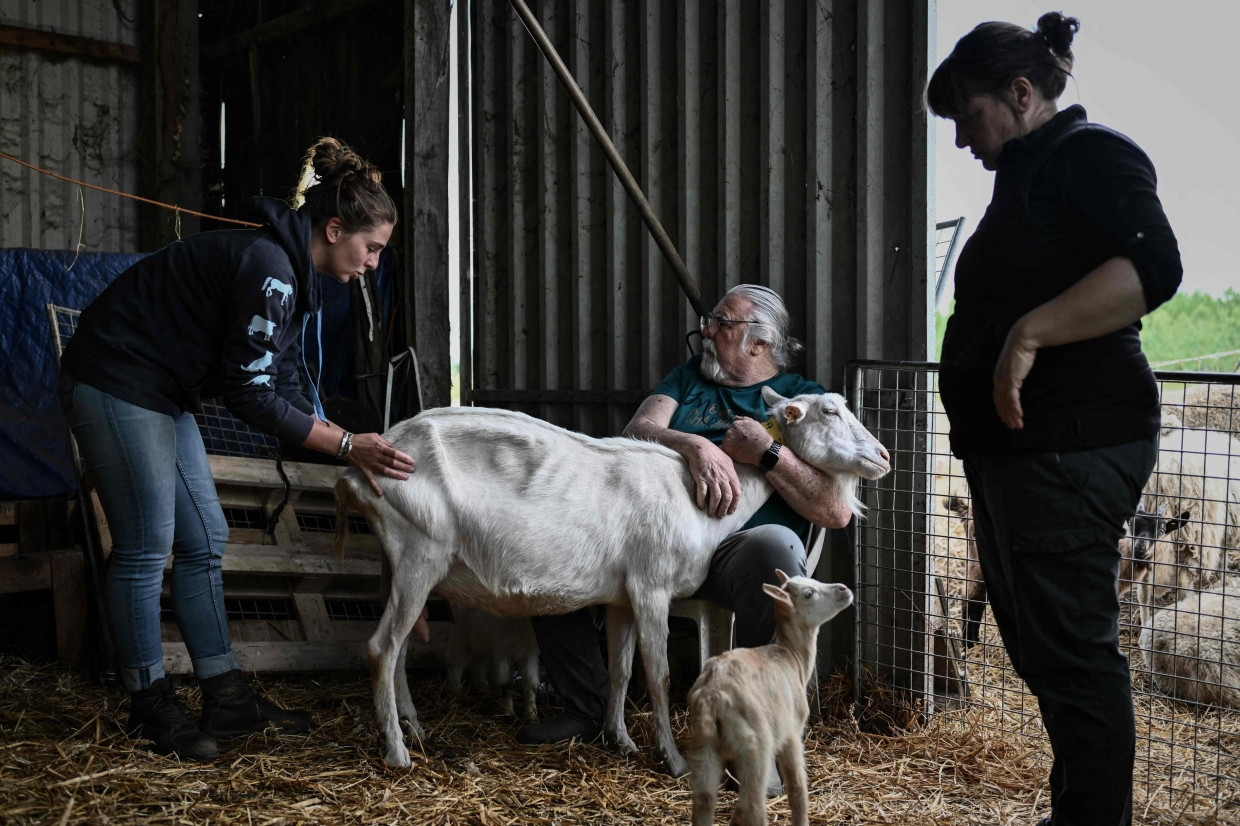 Viele Landwirte schätzen die Arbeit der Tierosteopathin, weil ihre Arbeit oft kostengünstiger und effektiver ist als Medikamente.